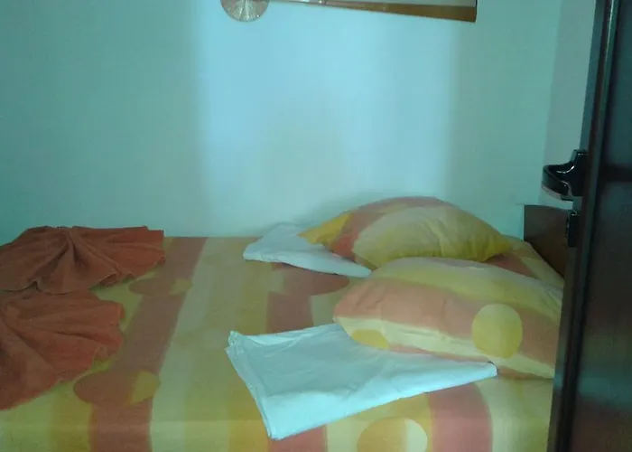 Zora פרימורסקו