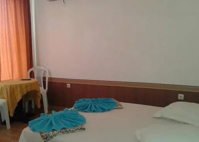 Zora פרימורסקו