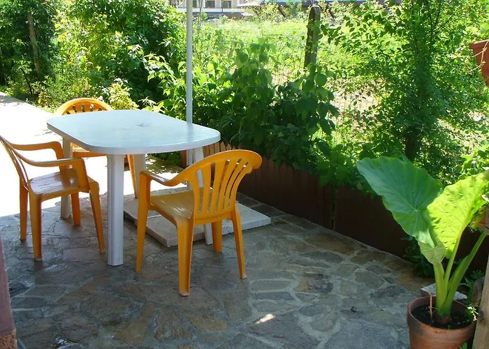 Zora פרימורסקו